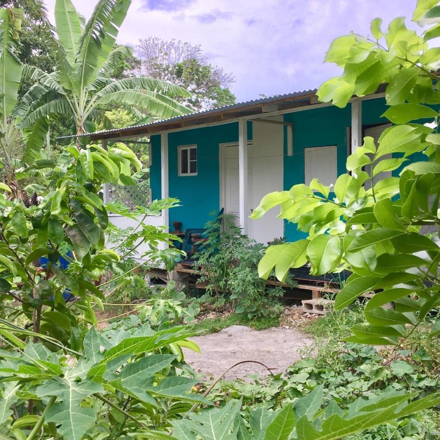 Easymans' Winifred Beach Chalets Port Antonio Exteriér fotografie